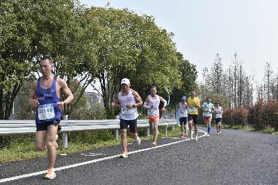 2024金东绿道·浙江马拉松团体赛