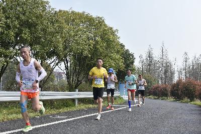 2024金东绿道·浙江马拉松团体赛