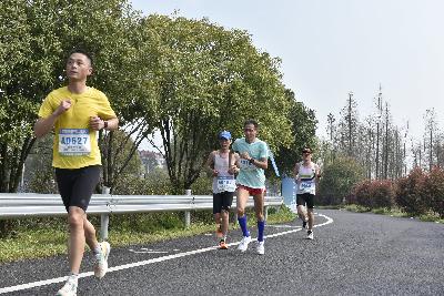 2024金东绿道·浙江马拉松团体赛
