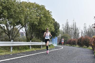 2024金东绿道·浙江马拉松团体赛