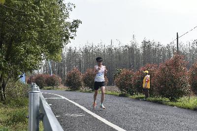 2024金东绿道·浙江马拉松团体赛