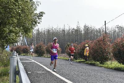 2024金东绿道·浙江马拉松团体赛