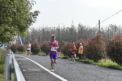 2024金东绿道·浙江马拉松团体赛