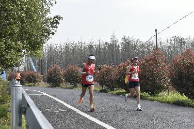 2024金东绿道·浙江马拉松团体赛