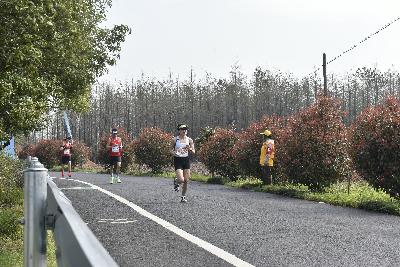 2024金东绿道·浙江马拉松团体赛