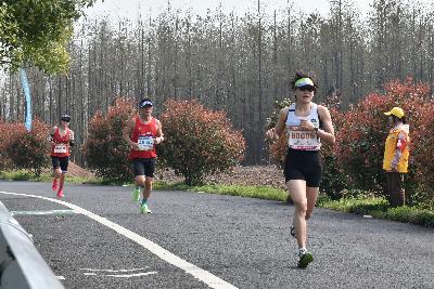 2024金东绿道·浙江马拉松团体赛