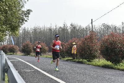 2024金东绿道·浙江马拉松团体赛