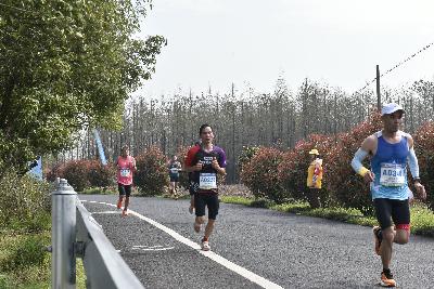 2024金东绿道·浙江马拉松团体赛