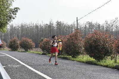 2024金东绿道·浙江马拉松团体赛