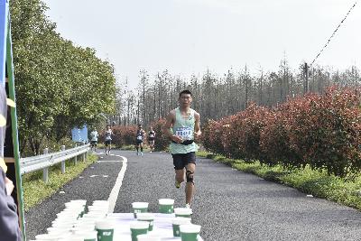 2024金东绿道·浙江马拉松团体赛