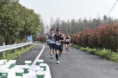 2024金东绿道·浙江马拉松团体赛