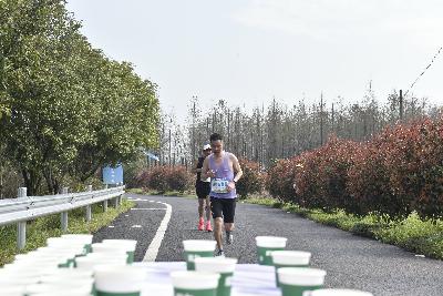 2024金东绿道·浙江马拉松团体赛