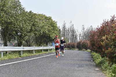 2024金东绿道·浙江马拉松团体赛