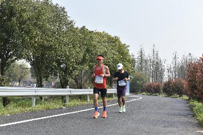 2024金东绿道·浙江马拉松团体赛