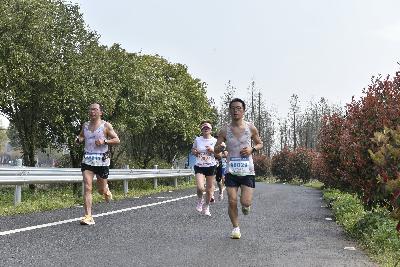 2024金东绿道·浙江马拉松团体赛