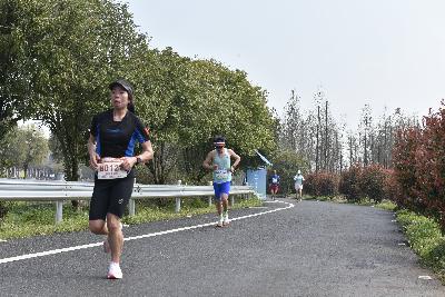 2024金东绿道·浙江马拉松团体赛
