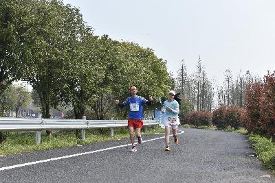 2024金东绿道·浙江马拉松团体赛