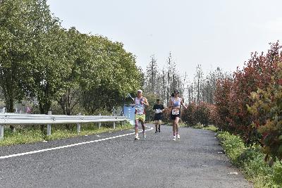 2024金东绿道·浙江马拉松团体赛