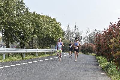 2024金东绿道·浙江马拉松团体赛