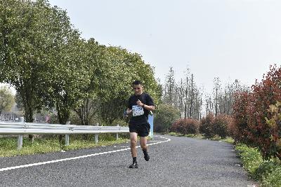 2024金东绿道·浙江马拉松团体赛