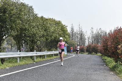2024金东绿道·浙江马拉松团体赛