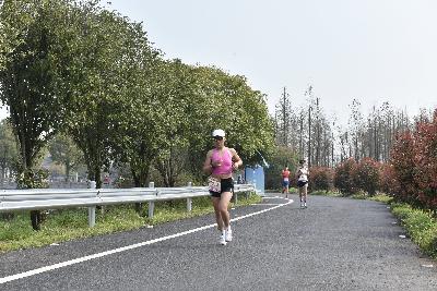 2024金东绿道·浙江马拉松团体赛