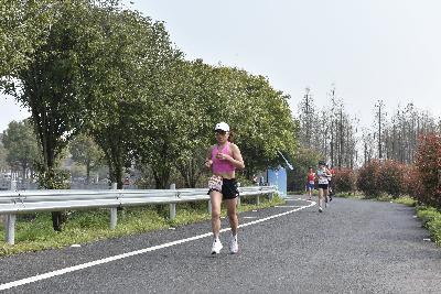 2024金东绿道·浙江马拉松团体赛