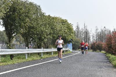 2024金东绿道·浙江马拉松团体赛