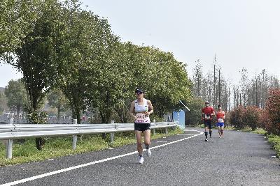 2024金东绿道·浙江马拉松团体赛