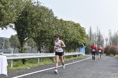 2024金东绿道·浙江马拉松团体赛