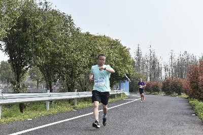 2024金东绿道·浙江马拉松团体赛