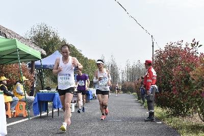 2024金东绿道·浙江马拉松团体赛