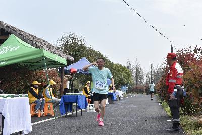 2024金东绿道·浙江马拉松团体赛