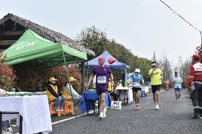 2024金东绿道·浙江马拉松团体赛