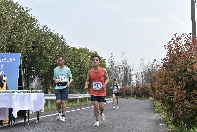 2024金东绿道·浙江马拉松团体赛