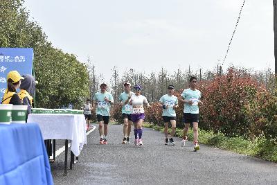 2024金东绿道·浙江马拉松团体赛