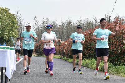2024金东绿道·浙江马拉松团体赛