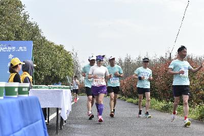 2024金东绿道·浙江马拉松团体赛
