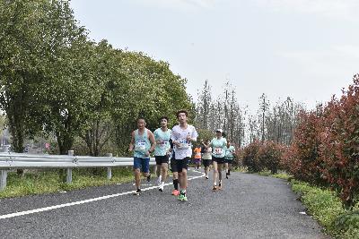 2024金东绿道·浙江马拉松团体赛