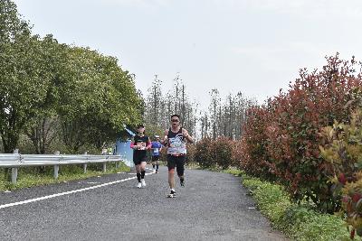 2024金东绿道·浙江马拉松团体赛