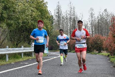 2024金东绿道·浙江马拉松团体赛