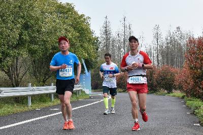 2024金东绿道·浙江马拉松团体赛