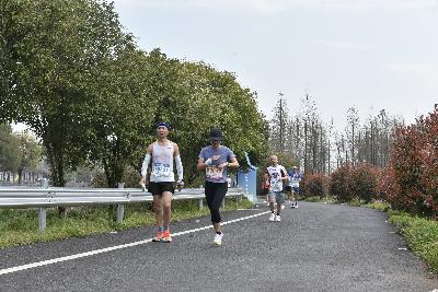 2024金东绿道·浙江马拉松团体赛