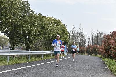 2024金东绿道·浙江马拉松团体赛