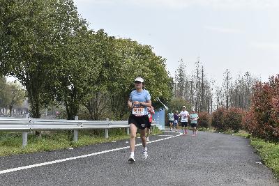 2024金东绿道·浙江马拉松团体赛