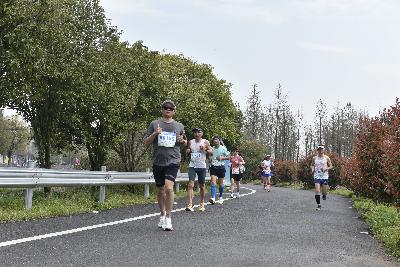 2024金东绿道·浙江马拉松团体赛