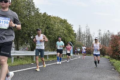 2024金东绿道·浙江马拉松团体赛