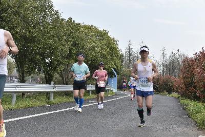 2024金东绿道·浙江马拉松团体赛