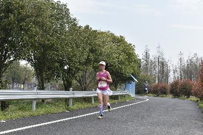 2024金东绿道·浙江马拉松团体赛