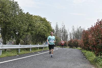 2024金东绿道·浙江马拉松团体赛